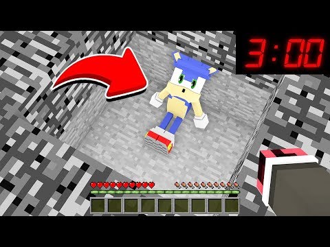 GECE 3'TE SONİC KİMDEN SAKLANIYOR? 😱 - Minecraft