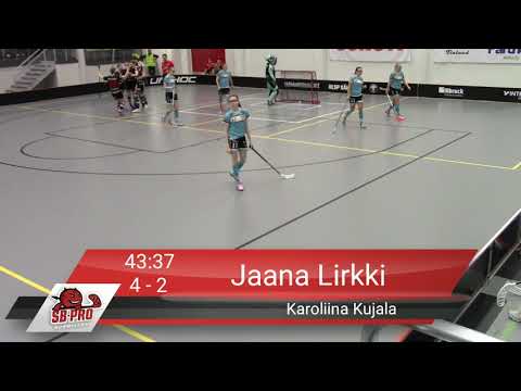 SB-PRO maalikooste: PLAYOFFS SB-PRO - Pelicans (23.3.2019)