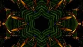 Mike Gordon - Yarmouth Road