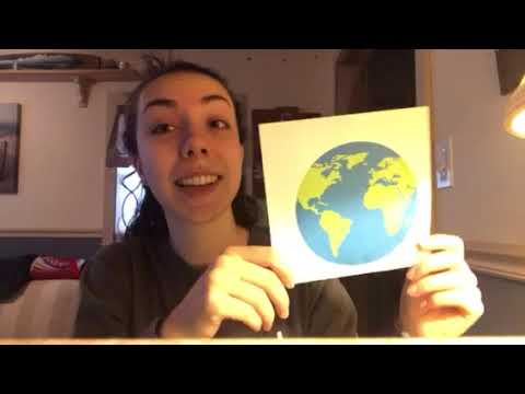 Dario and the Whale Let's Find Out About It!