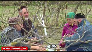 Семья Иналовых из станицы Старогладовской справедливо может называться примерной 