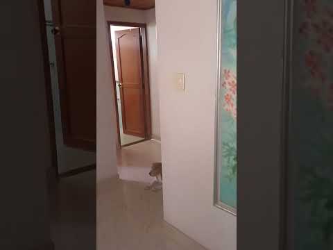 Apartamentos, Alquiler, Cartagena - $3.000.000