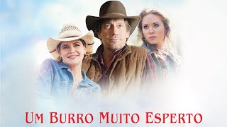 Um Burro Muito Esperto (2013) | Filme Completo | Kevin Sorbo | Kristy Swanson