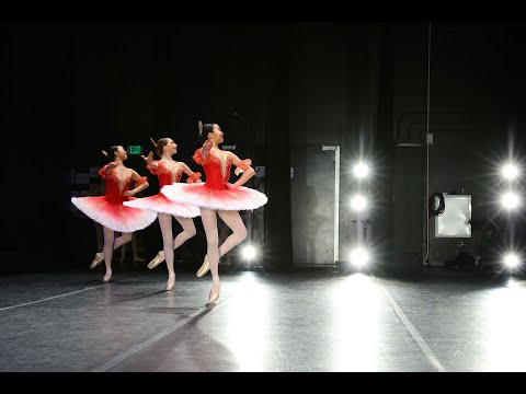 Excerpts from the Grand Pas of the Ballet Paquita, Girls 12-15 years old, YAGP, SF, 2023 2nd place