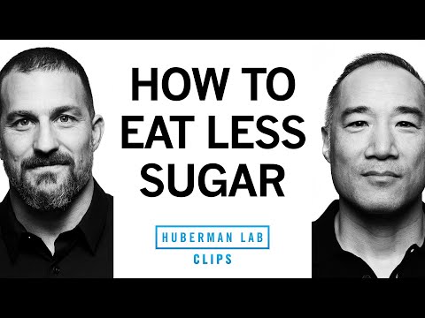 How to Manage Daily Sugar Consumption | Alan Aragon & Dr. Andrew Huberman