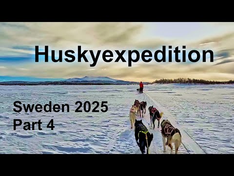 The Journey Continues | One Week Husky Expedition in Sweden Part 4