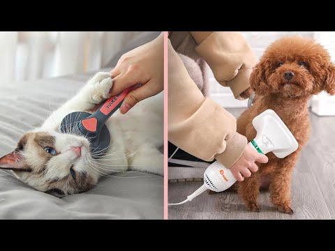 Cool Pet Grooming Tools for Cats And Dogs