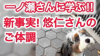 木俣さんが明かす驚愕の新事実!悠仁さんのご体調は? サイコパス? 一ノ瀬さんに学ぶ ! !