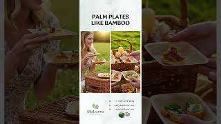 Elevate Every Meal-Palm Leaf Plates Like Bamboo