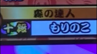 星10全良290譜面目