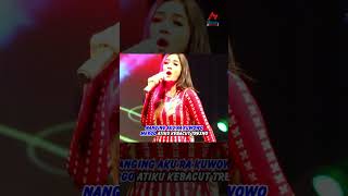 Download lagu Lilo - Nella Kharisma  #dangdutterbaru #livekonser #nellakharisma mp3
