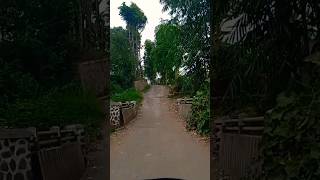Download lagu jalan pedesaan dengan suasana sejuk #short #shorts mp3 Download lagu jalan pedesaan dengan suasana sejuk #short #shorts mp3
