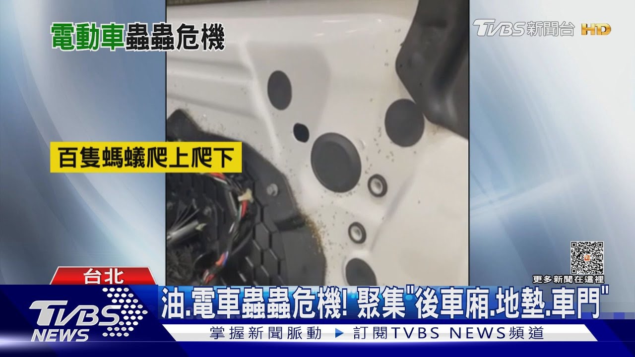 噁心慎入! 特斯拉「破百螞蟻、逾10隻小強」現蹤