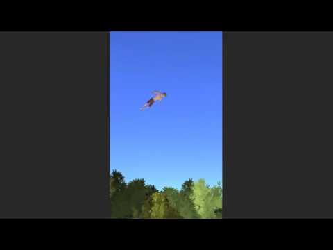 Diving pool flip Video