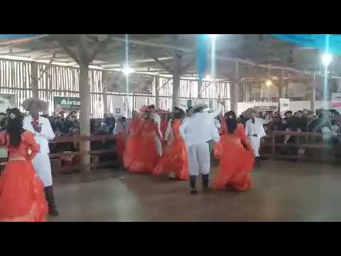 Xucrão Cultural 2018 - DC Alma Gaúcha Juvenil - Tatu com Volta no Meio