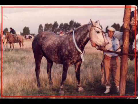 MARCELO MIRAGLIA - "Cuando murio el reservado"
