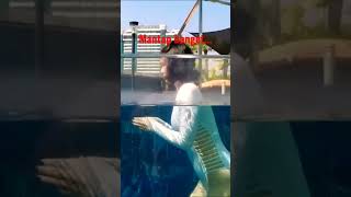 Cewek Cantik Pakai bikini#shorts#cewekbikini