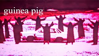 Cover art for Guinea Pig