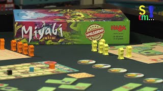 Video-Rezension: Miyabi