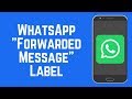 How WhatsApp Forwarded Messages Label Works - New WhatsApp Feature
