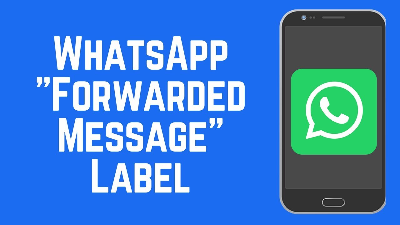 Why does the word forwarded appear on WhatsApp?
