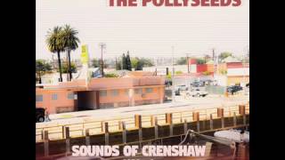 NEW TRACK &amp; LYRICS | The Pollyseeds - Intentions (featuring Chachi)