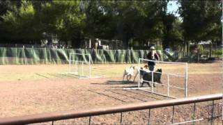 LeAnn and Jag - JHD -Goats - Saturday