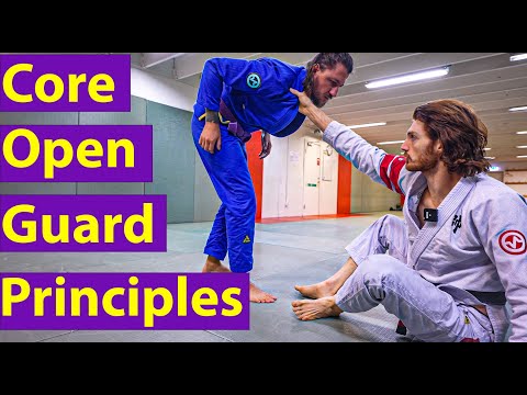 Most Important Guard Principles