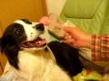 �}�b�T�[�W�͋C������...