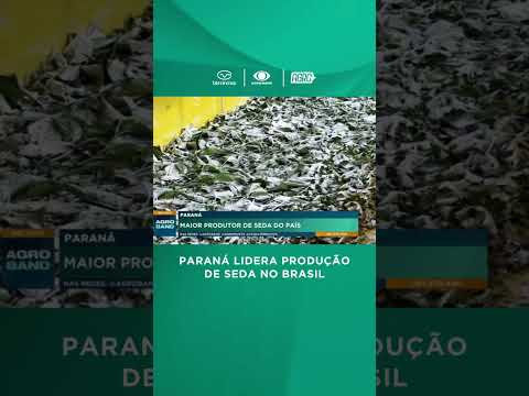Fazenda do bicho-da-seda no Paraná - líder na produção