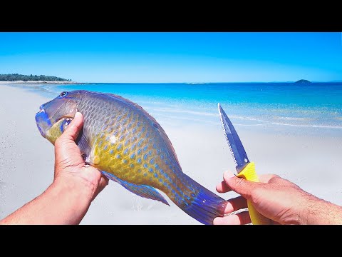 40km Out To Sea - SOLO ISLAND CAMPING - Catch And Cook
