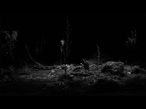 Video thumbnail for Oiseau