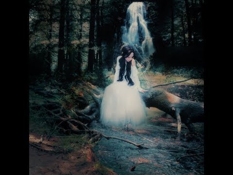 Faerie Dub - The Best Psydub Mix (Volume 2)