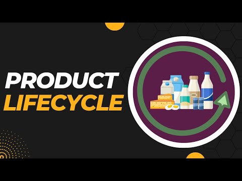 e Commerce Vs e Business Difference between them with definition types comparison chart