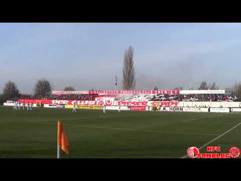 Choreo Halle 96 - Hallescher FC