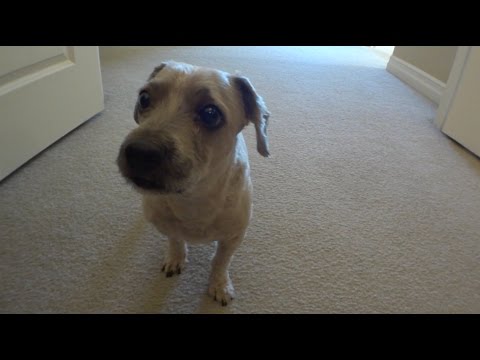 Pirillo #Vlog 853 - The More Moms, the Merrier!