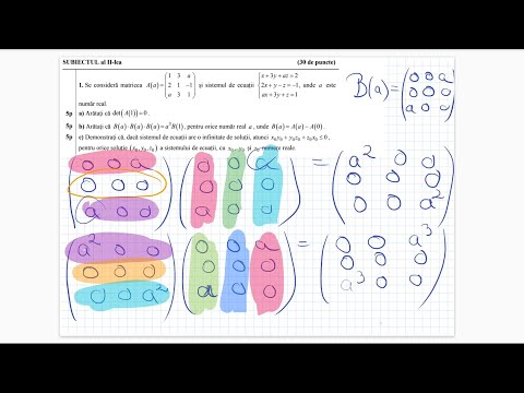 Simulare Bacalaureat 2022 - Mate Info - Rezolvare Subiect