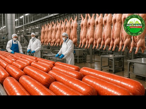How Millions of Hot Dogs Are Made – Inside the Secret Sausage Processing Factory