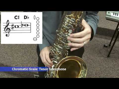 Concert B-Flat Chromatic Scale - Tenor Sax Demo & Note Map