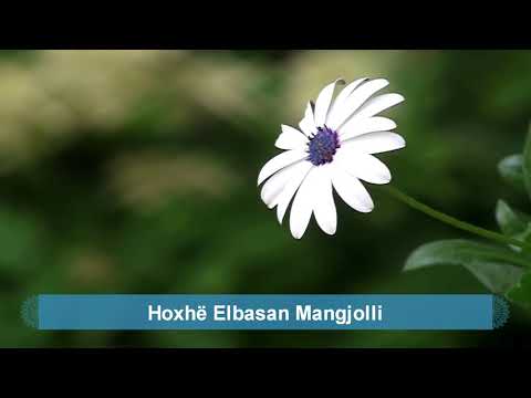 Gënjeshtra - Hoxhë Elbasan Mangjolli