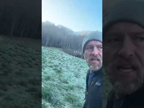 Everflow: Winter Watering Solved for Homestead Livestock