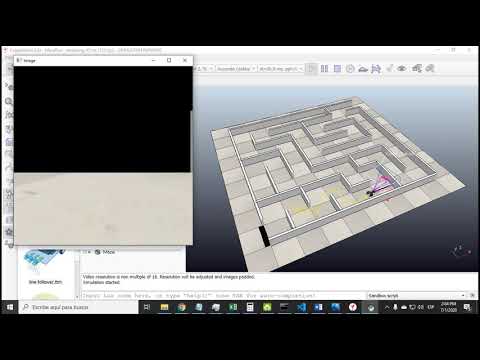 Maze Coppelia (13200125)