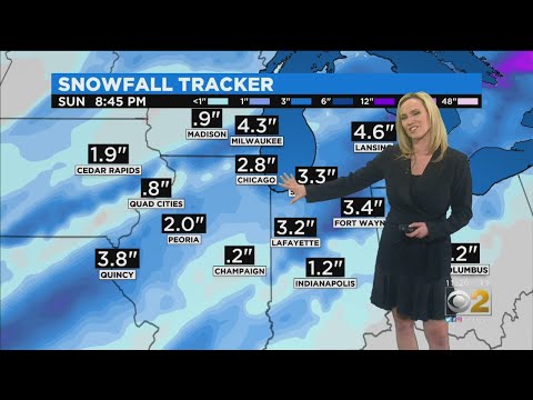 CBS 2 ウェザーウォッチ (11AM 01-08-20) (CBS 2 Weather Watch (11AM 01-08-20))