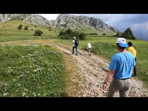 Spre Piatra Secuiului, din Munții  Trascău!