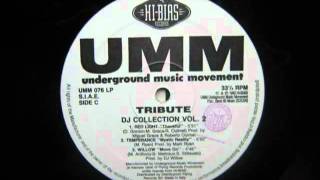 Temperance - Mystic Reality