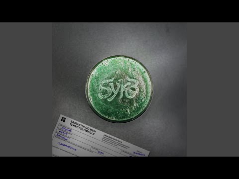 Kolme Ässää (Synnyin Sanat Suus) (feat. Komaveli & Väri)