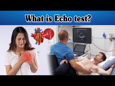 IV Cannula Colour And Size Cannula Types And Uses