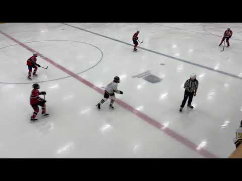Sthlm hockeycup 21/22 Sollentuna - AIK08