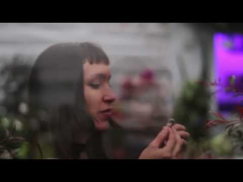 Obertura & De mi - Laura Espinal & Mayra Cárdenas