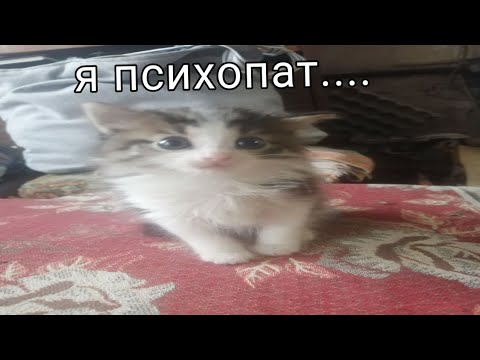 я психопат...